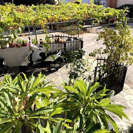 Rosy's House With Amenities Near Chania *