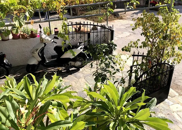 Rosy's House With Amenities Near Chania *